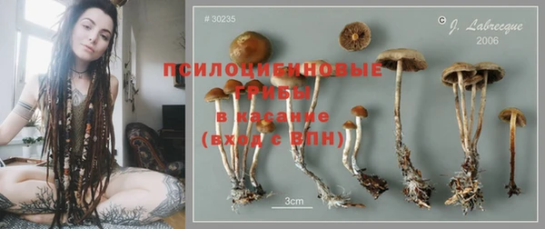 метадон Галич