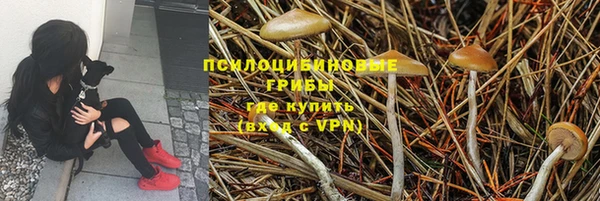 mdpv Пестово